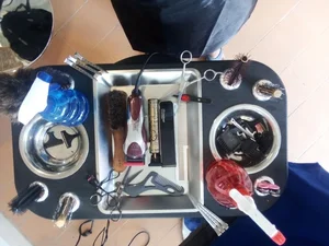 آرایش پیکاسو 3