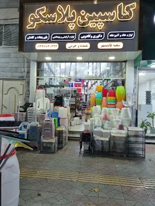 کاسپین پلاسکو