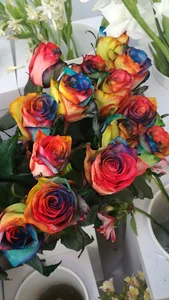 قصر گل آذری