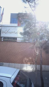 زبان ترمیک آزاد پسرانه رنگین کمان 2