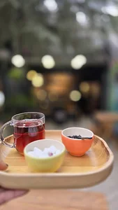 کفش بچگانه و زنانه درسا
