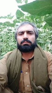 بستنی فروشی گلبهار