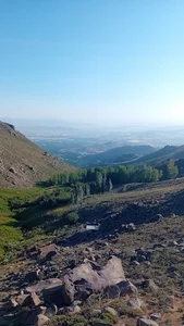 چمن سرهنگ