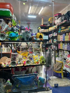 پت شاپ سگارو | فروشگاه حیوانات خانگی