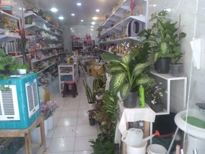 گلسرای نفیس شهرکرد 4