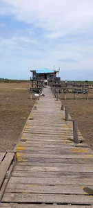 Ashooradeh Island South beach