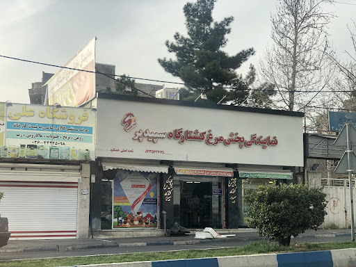 مرغ سپید پر