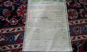 فروشگاه لوازم قنادی محمد طالبی