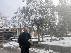 خواروبار لاله