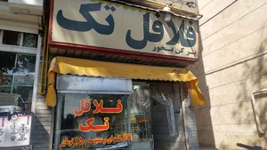 فلافل فائز