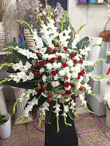 گلفروشی مسترگل ( آقای گل )