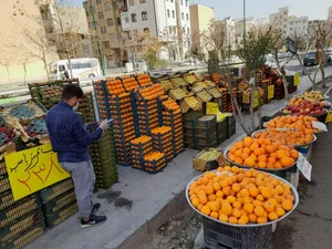میوه فروشی هاکان 3