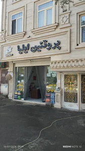 پروتئین ایلیا 5