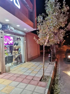 کافه خودرو 3