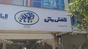 کفش ملی 1703