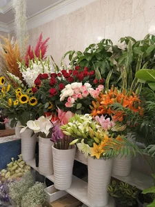 گل و گیاه افرا