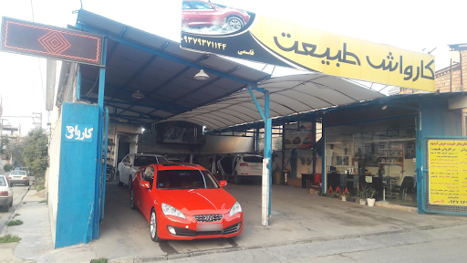 کارواش نانو بخار طبیعت