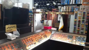 فروشگاه تکشو الکترونیک