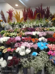 گل فروشی پامچال 5