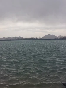 شهر کرفس