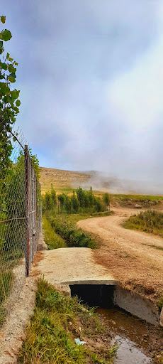 ایستی بیلاغ