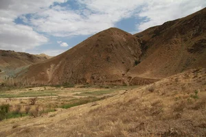 آشاقی برزه یا عروس کوهان