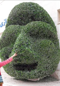 منازل صنایع فولاد پارک مریم