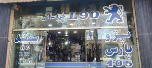 پارس یدک