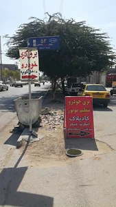 برق خودرو کادیلاک