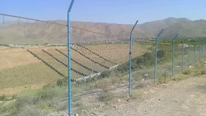 تخته نسو