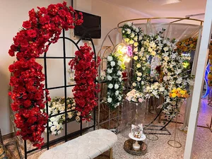 تشریفات مجالس دکتر عروسی