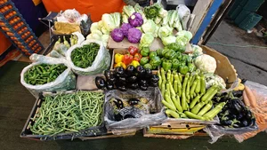 میوه سرای آلا - میوه فروشی آلا 5