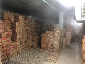 نمایندگی و پخش بستنی و خامه قنادی شایان