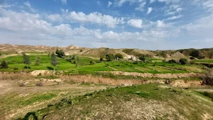 هفتکل هوره