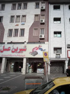 شیرین عسل 2