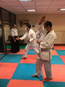 Ariana Academy of Aikido آکادمی آریانا آیکیدو 2