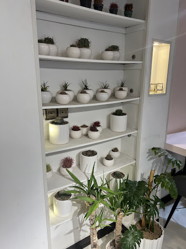 مجموعه گل فروشی هیوا