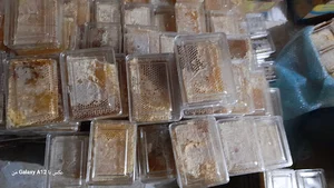 بازرگانی علیزاده