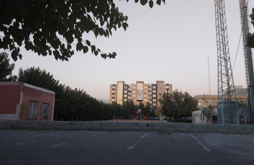 بوستان اطلسی