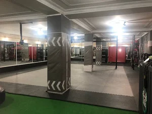 باشگاه ورزشی هانی