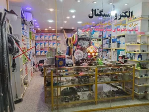 الکتروسیگنال