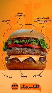 زرافه 3