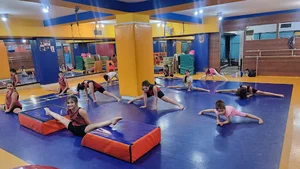 ژیمناستیک هانیه