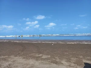 ساحل کیاشهر