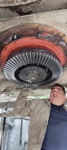 بچینگ شکرانی