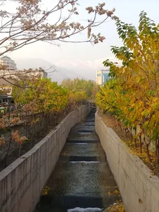بوستان خطی ارم