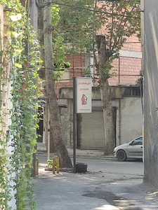 کانون هموفیلی مازندران