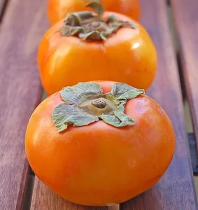 نهالستان آرات(نهالستان‌علیزاده)