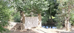 استخر حوض خانه