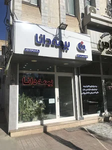 دفتر نمایندگی بیمه دانا خانم وزیری